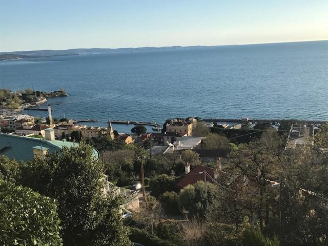 Trieste Sea Life Exterior photo